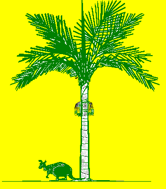 logo: The Sydney Rainforest